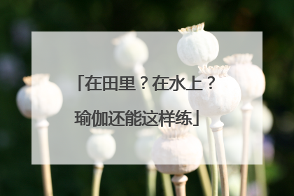 在田里？在水上？瑜伽还能这样练