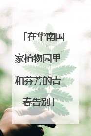 在华南国家植物园里和芬芳的青春告别