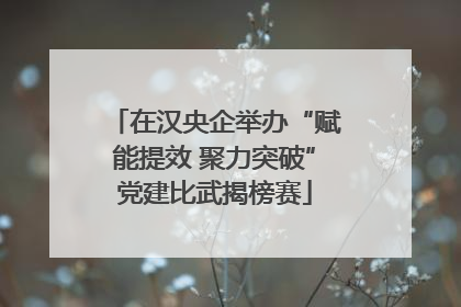 在汉央企举办“赋能提效 聚力突破”党建比武揭榜赛