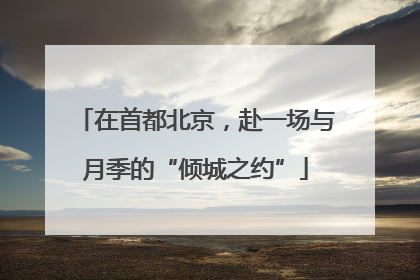 在首都北京，赴一场与月季的“倾城之约”