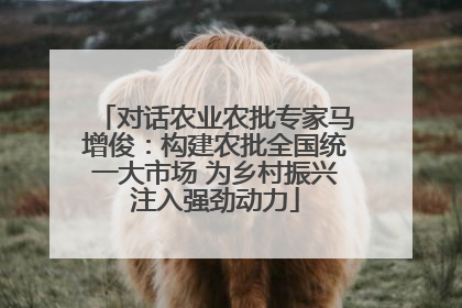 对话农业农批专家马增俊：构建农批全国统一大市场 为乡村振兴注入强劲动力