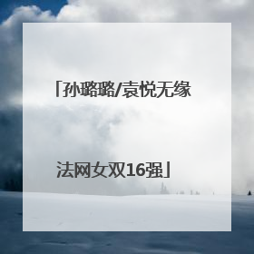 孙璐璐/袁悦无缘法网女双16强