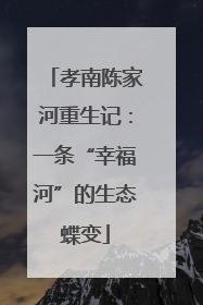 孝南陈家河重生记：一条“幸福河”的生态蝶变