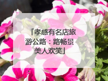 孝感有名店旅游公路：路畅景美人欢笑