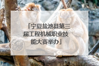 宁夏盐池县第三届工程机械职业技能大赛举办