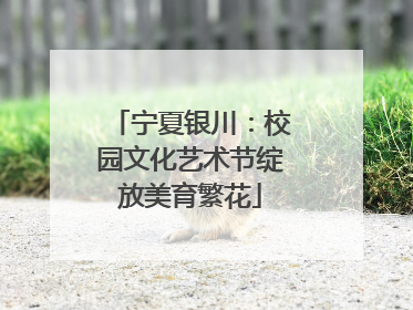 宁夏银川：校园文化艺术节绽放美育繁花