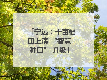 宁远：千亩稻田上演 “智慧种田” 升级