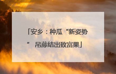 安乡：种瓜“新姿势” 吊藤结出致富果
