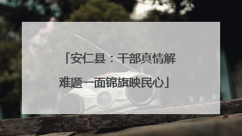 安仁县：干部真情解难题一面锦旗映民心