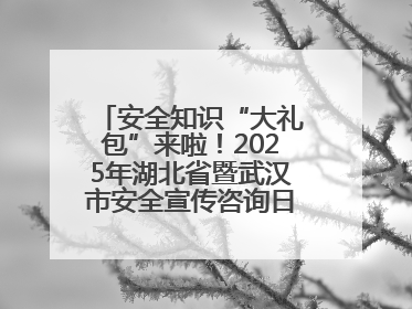 安全知识“大礼包”来啦！2025年湖北省暨武汉市安全宣传咨询日活动在汉举行