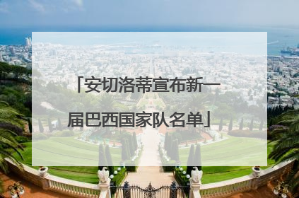 安切洛蒂宣布新一届巴西国家队名单