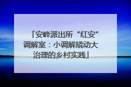 安峰派出所“红安”调解室：小调解撬动大治理的乡村实践
