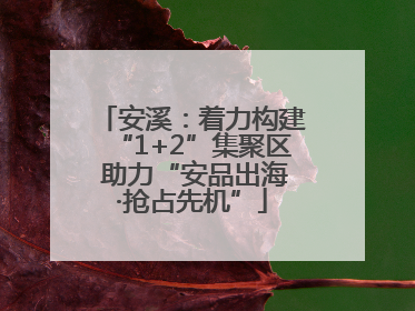 安溪：着力构建“1+2”集聚区 助力“安品出海·抢占先机”