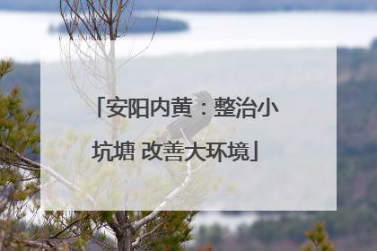 安阳内黄：整治小坑塘 改善大环境