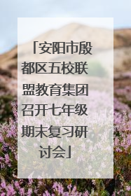 安阳市殷都区五校联盟教育集团召开七年级期末复习研讨会