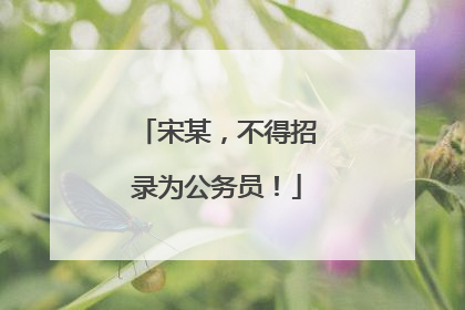 宋某，不得招录为公务员！