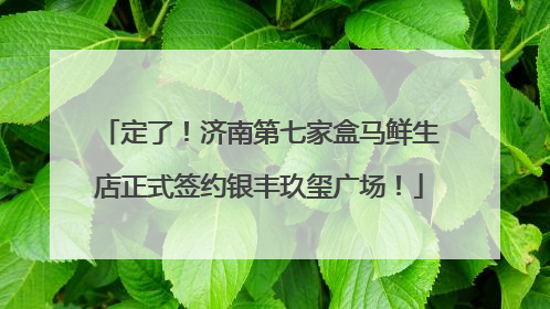 定了！济南第七家盒马鲜生店正式签约银丰玖玺广场！