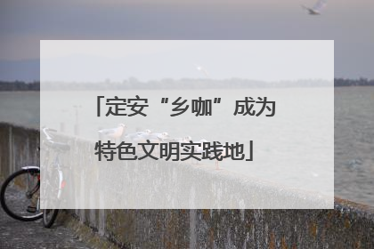 定安“乡咖”成为特色文明实践地