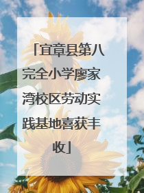 宜章县第八完全小学廖家湾校区劳动实践基地喜获丰收