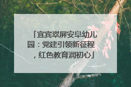 宜宾翠屏安阜幼儿园：党建引领新征程，红色教育润初心