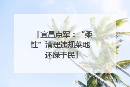 宜昌点军：“柔性”清理违规菜地 还绿于民