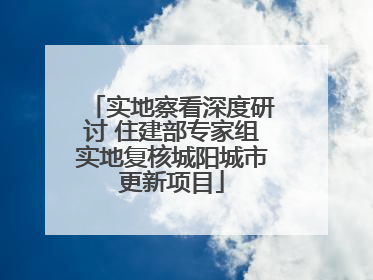 实地察看深度研讨 住建部专家组实地复核城阳城市更新项目