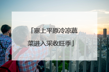 塞上平原冷凉蔬菜进入采收旺季