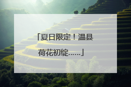 夏日限定！温县荷花初绽……