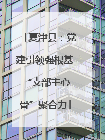夏津县：党建引领强根基 “支部主心骨”聚合力
