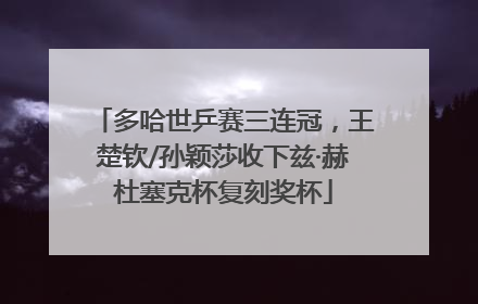 多哈世乒赛三连冠，王楚钦/孙颖莎收下兹·赫杜塞克杯复刻奖杯