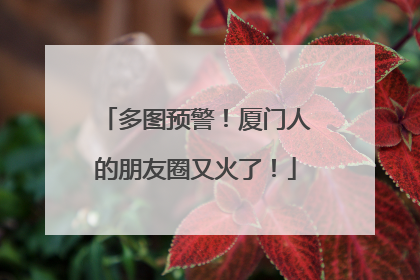 多图预警！厦门人的朋友圈又火了！