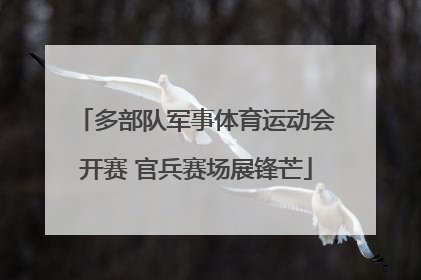 多部队军事体育运动会开赛 官兵赛场展锋芒