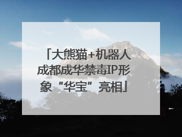 大熊猫+机器人 成都成华禁毒IP形象“华宝”亮相