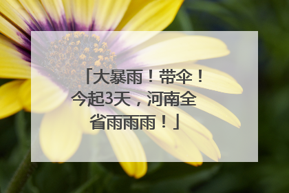 大暴雨！带伞！今起3天，河南全省雨雨雨！
