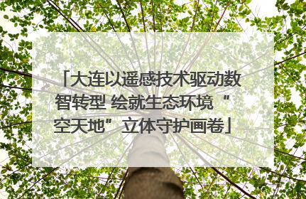 大连以遥感技术驱动数智转型 绘就生态环境“空天地”立体守护画卷