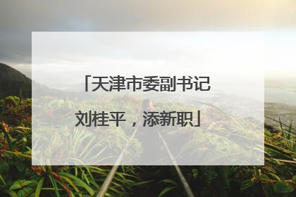 天津市委副书记刘桂平，添新职