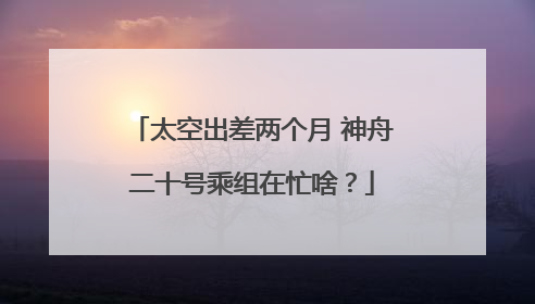 太空出差两个月 神舟二十号乘组在忙啥？