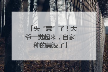 失“蒜”了！大爷一觉起来，自家种的蒜没了
