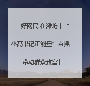 好网民·在潍坊｜“小高书记正能量”直播 带动群众致富