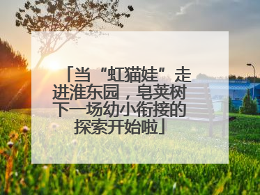 当“虹猫娃”走进淮东园，皂荚树下一场幼小衔接的探索开始啦
