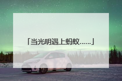 当光明遇上蚂蚁……