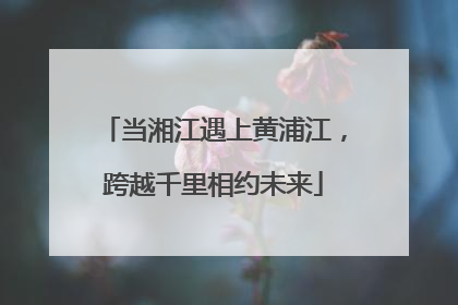 当湘江遇上黄浦江，跨越千里相约未来