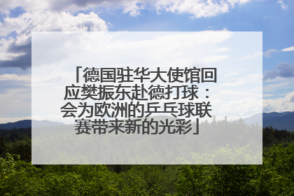 德国驻华大使馆回应樊振东赴德打球：会为欧洲的乒乓球联赛带来新的光彩
