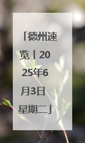 德州速览丨2025年6月3日 星期二