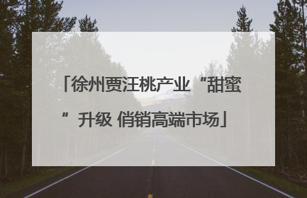 徐州贾汪桃产业“甜蜜”升级 俏销高端市场