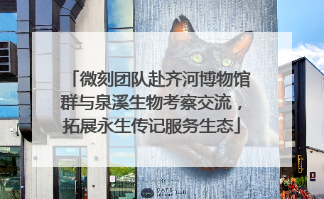 微刻团队赴齐河博物馆群与泉溪生物考察交流，拓展永生传记服务生态