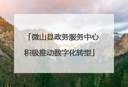 微山县政务服务中心积极推动数字化转型