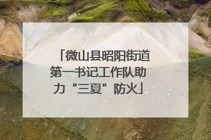 微山县昭阳街道第一书记工作队助力“三夏”防火