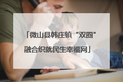 微山县韩庄镇“双圈”融合织就民生幸福网