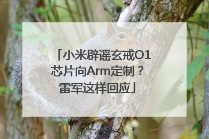 小米辟谣玄戒O1芯片向Arm定制？雷军这样回应